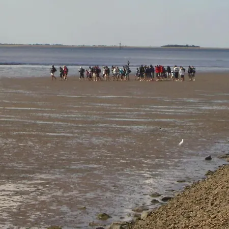 Dom wakacyjny Groede In Haus Halligblick