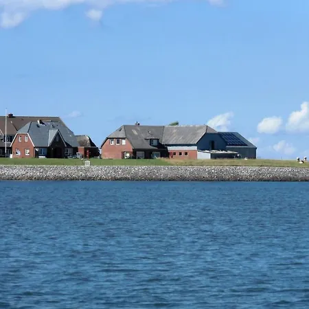 Dom wakacyjny Groede In Haus Halligblick *