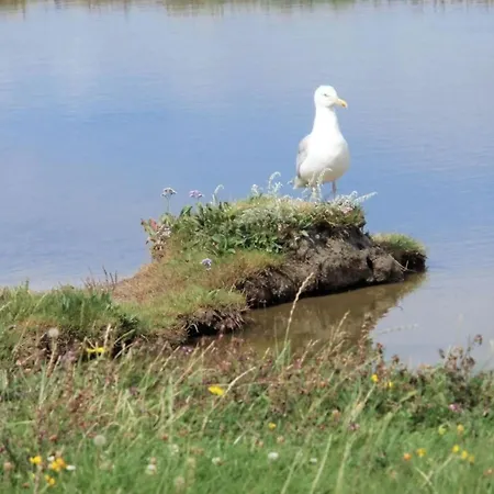 Groede In Haus Halligblick *