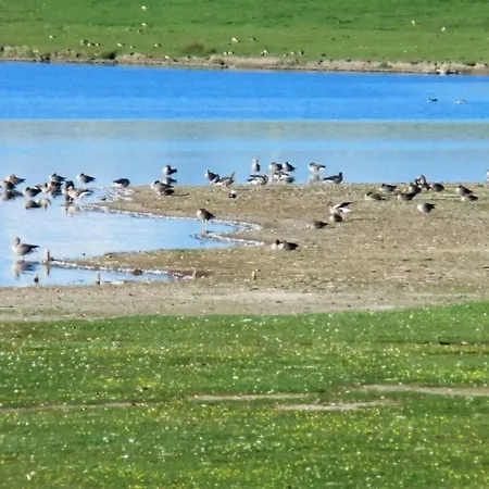 Groede In Haus Halligblick Dom wakacyjny Dagebüll