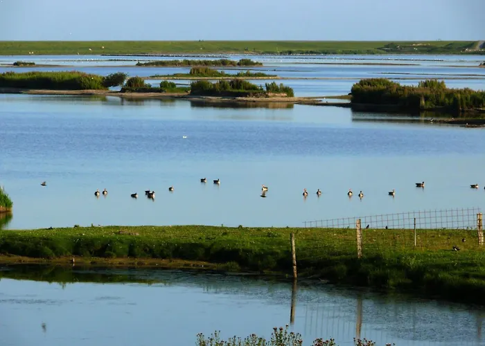Groede In Haus Halligblick Casa de Férias Dagebüll