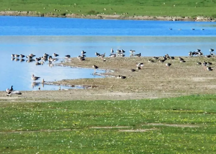 Groede In Haus Halligblick Casa de Férias Dagebüll